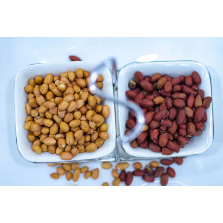 g.nut seeds